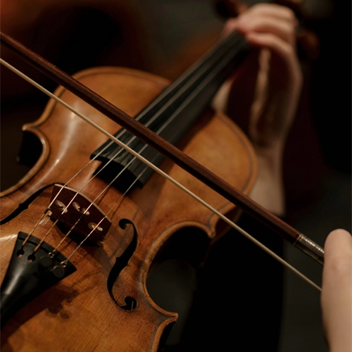 vIOLIN