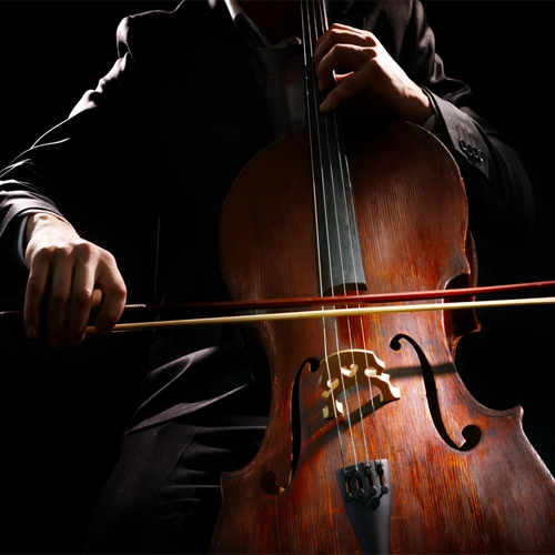 vIOLINCHELO2